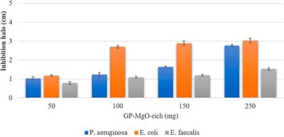Antibacterial Properties and Cytotoxicity of 100% Waste Derived Alkali Activated Materials: Slags and Stone Wool-Based Binders